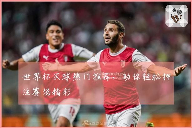 世界杯买球热门推荐，助你轻松押注赛场精彩