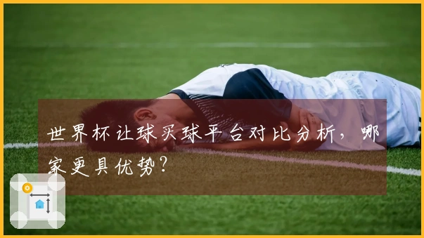 世界杯让球买球平台对比分析，哪家更具优势？