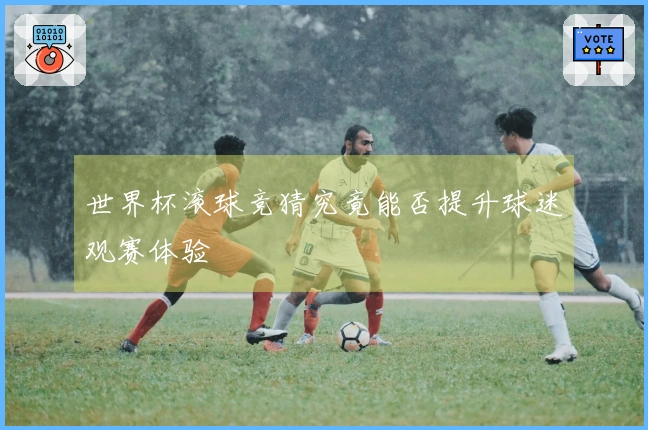 世界杯滚球竞猜究竟能否提升球迷观赛体验