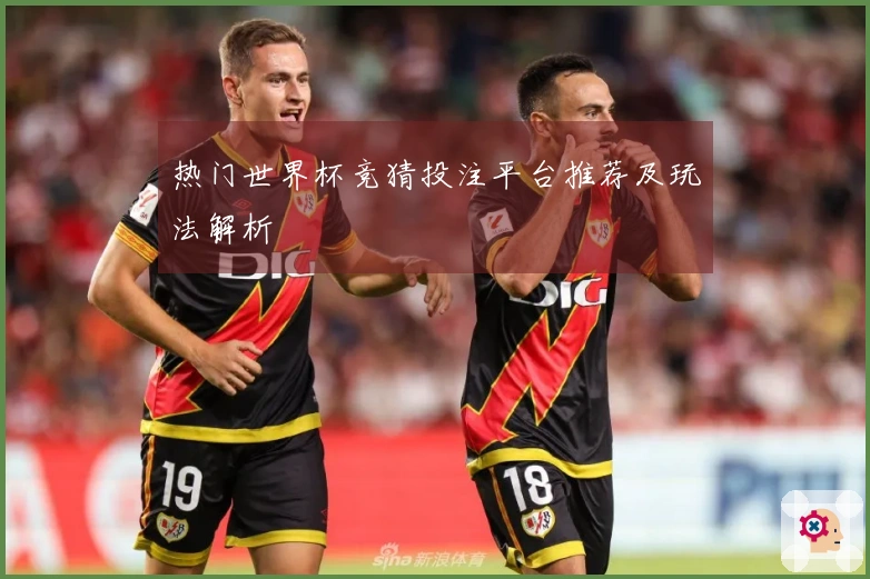 热门世界杯竞猜投注平台推荐及玩法解析